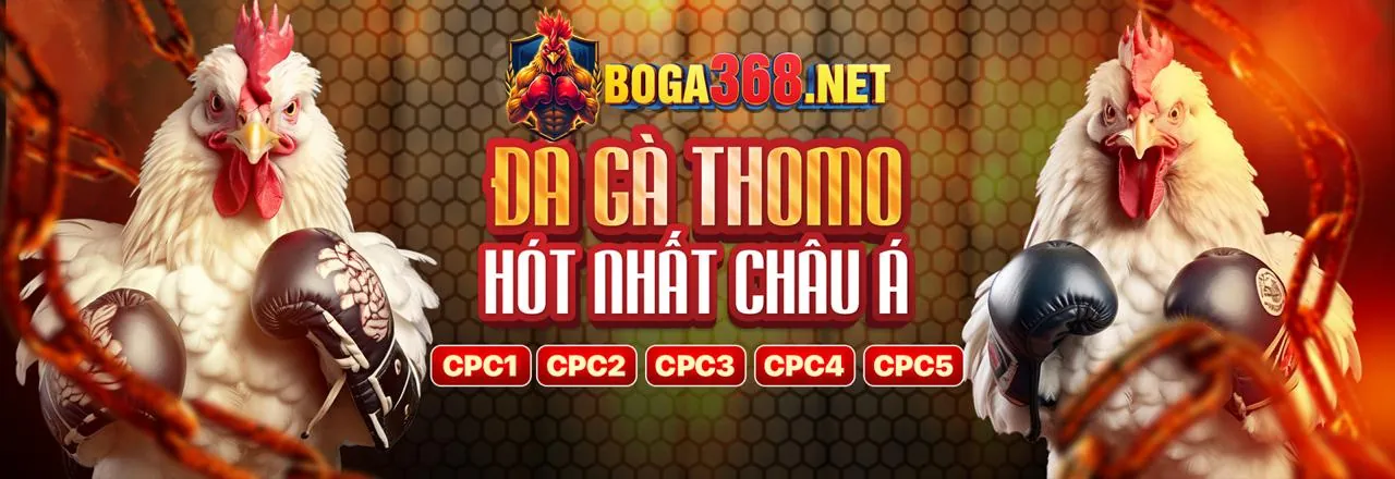 Đá gà trực tuyến 88xx Đăng nhập